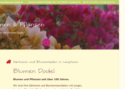 Blumen Dodel