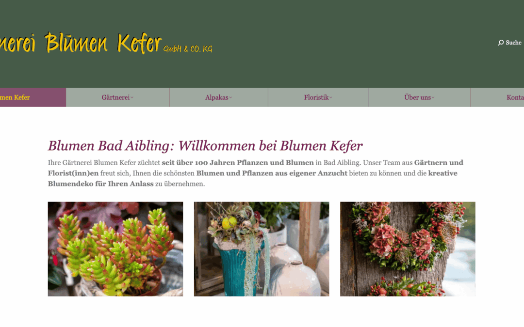 Blumen Kefer