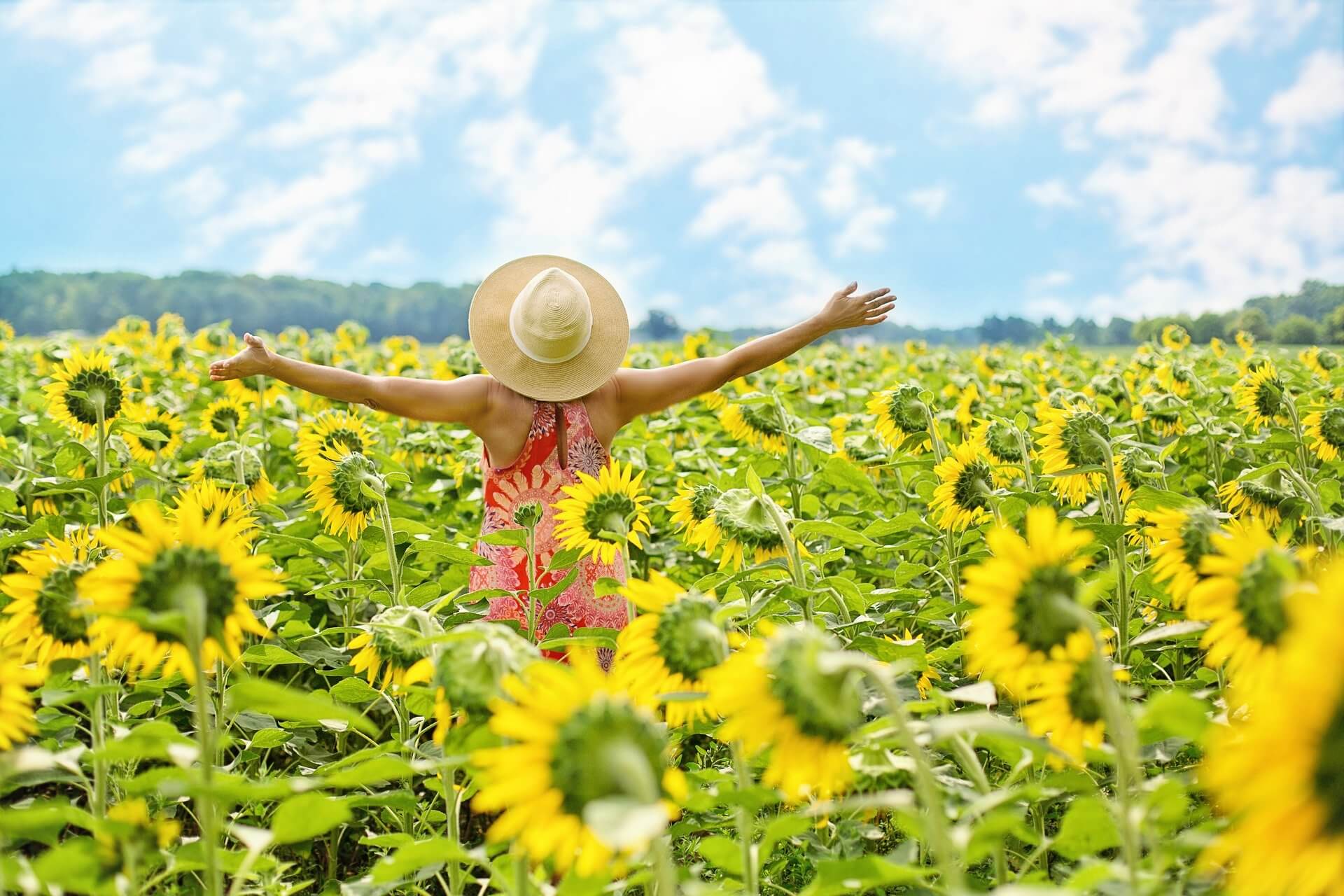 Freude Und Sonnenblumen Listing Booster