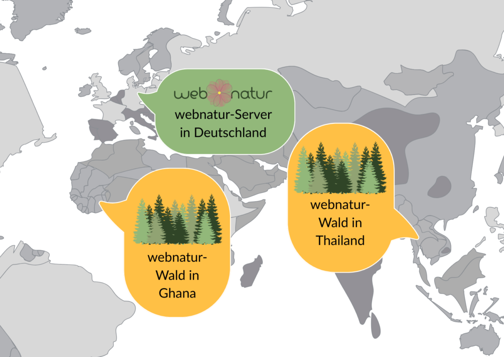 webnatur Wald